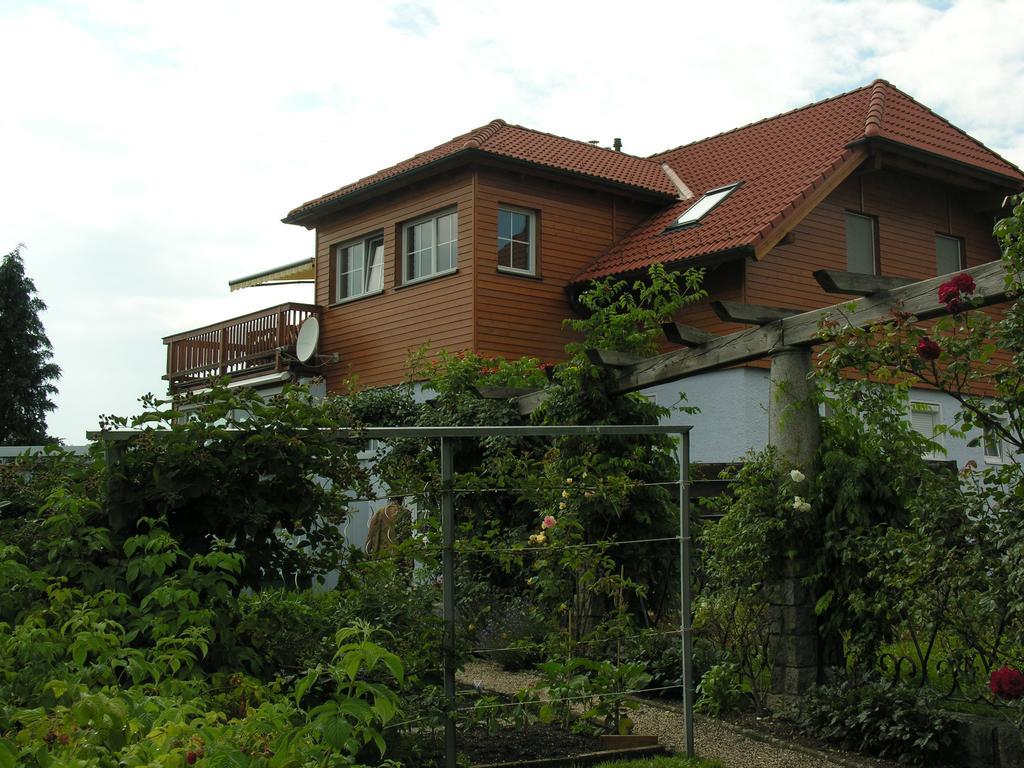 Mayerhofer House Linz Eksteriør billede
